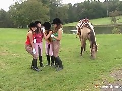 Crowd of kinky girls gets wild toy fucking in this outdoors lesbians orgy