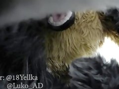 Hot German shepherd fucks cute gray submissive bunny (Murrsuit porn)